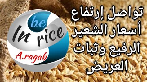 سعر كيلو الأرز اليوم في مصر