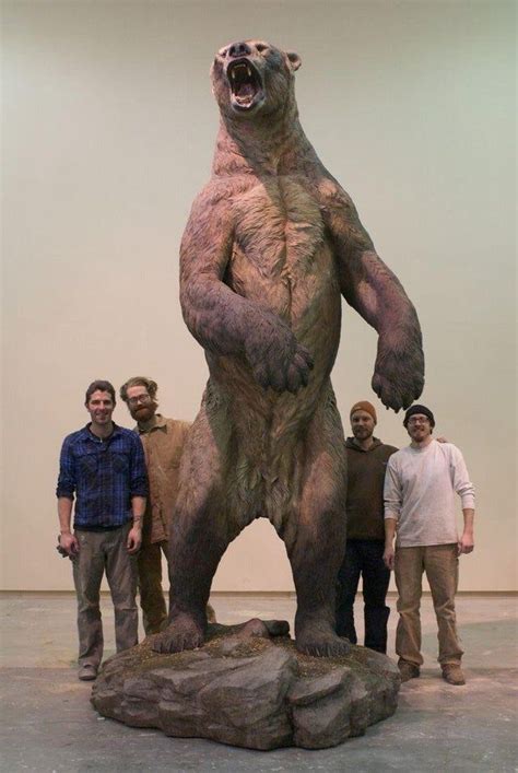 Human For Scale Short Nosed Bear Short Faced Bear
