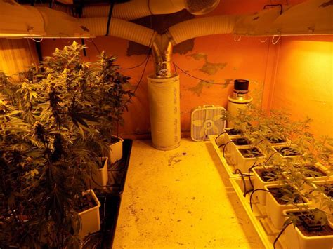8kw Basement Grow Questions Growroom Designs And Equipment
