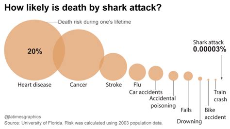 Sep 10, 2020 · copy. Fatal shark attacks: How rare they are and how to stay ...