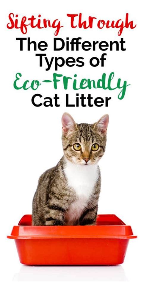 Even if your cat is pleased with your litter choice, there may be other reasons for switching from clay litter. Sifting Through The Different Types of Eco-Friendly Cat Litter