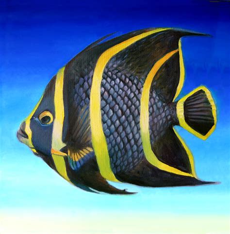 Juvenile French Angelfish Painting By Nancy Tilles Fine Art America