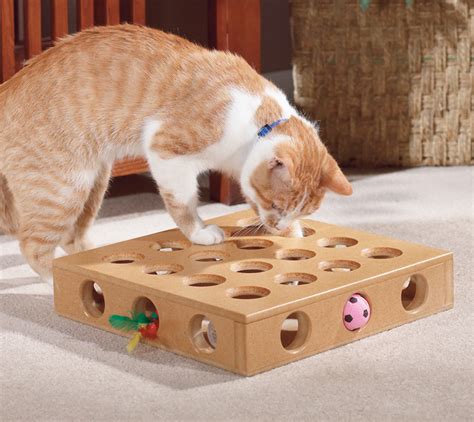 The feeder is made of. 5 Best Interactive Puzzle Food Games for Cats