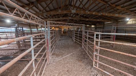 Farm And Cattle Ranch For Sale In Cedar County Mo Auction Uc Ranches