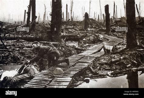 Wwi Battle Of Passchendaele 1917 Stock Photo 135093170 Alamy