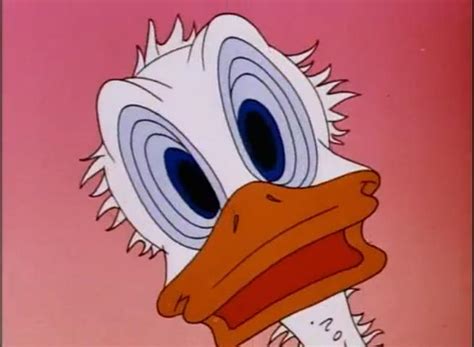 Image Donald Duck Duck Pimples 1945 Youtube5 Disneywiki