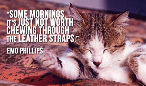 10 Quotes For People Who Hate Mornings