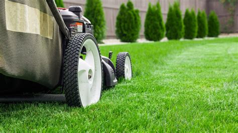 7 Lawn Care Tips For Complete Beginners Weed A Way Lawn Care