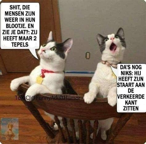 Rare Mensen Funny Animal Memes Funny Animal Pictures Cute Funny