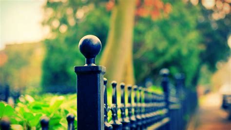 Maybe you would like to learn more about one of these? Cool Photography Wallpapers | PixelsTalk.Net