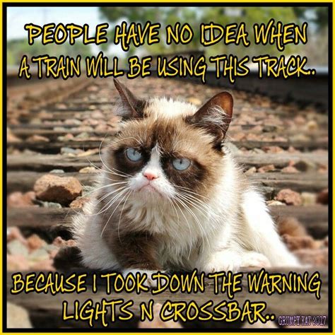 Another Grumpy Cat Meme By The Other Grumpy Kat 2017 Grumpy Cat N