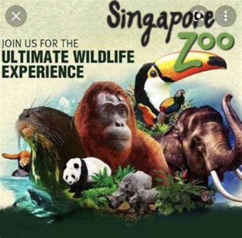Singapore Zoo Ticket Tickets And Vouchers Event Tickets On Carousell