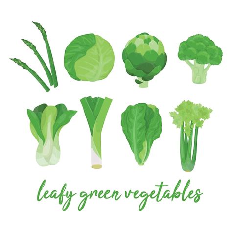 Premium Vector Collection Of Various Hand Drawn Colorful Leafy Green