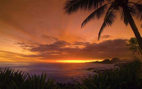 61 Tropical Island Sunset Wallpaper Wallpapersafari