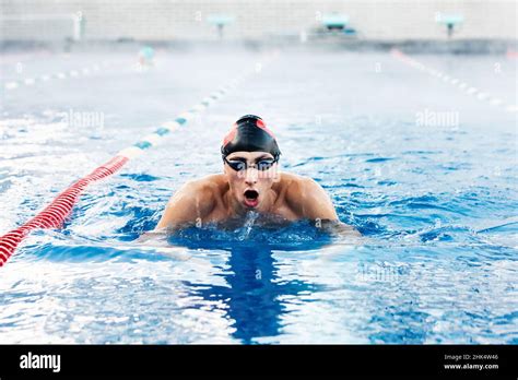 Professional Male Swimmer Swimming In The Pool Stock Photo Alamy