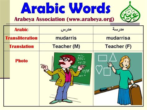Teacher Idioma Arabe Idiomas