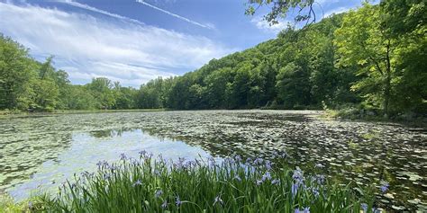 Hawk Mountain Sanctuary Loop Idyllic Hiking