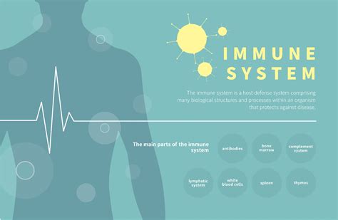 Daily Practices To Strengthen Your Immune System Performance Health