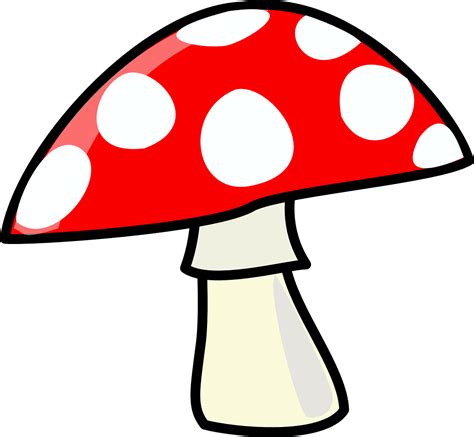 Mushroom Red Cartoons · Free vector graphic on Pixabay png image