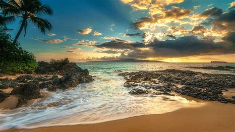 Hd Wallpaper Hawaii Coast Blue Ocean Palms Wind Blue Sky Summer