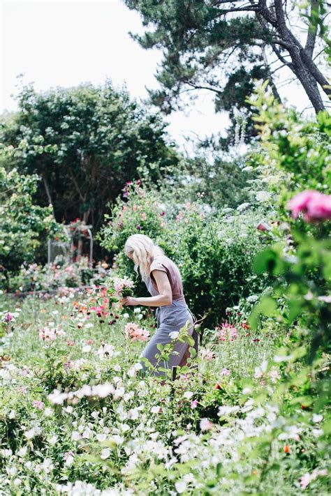 Springfieldtrip — Abbie Melle In 2021 Garden Photography Garden