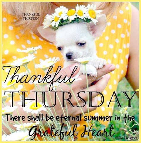 Have A Blessed Thursday ️ Thankful Thursday Cute Good Morning