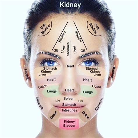 Facial Cupping Will Also Stimulate The Pressure Points Of The Face Facial Cupping Is Part Of