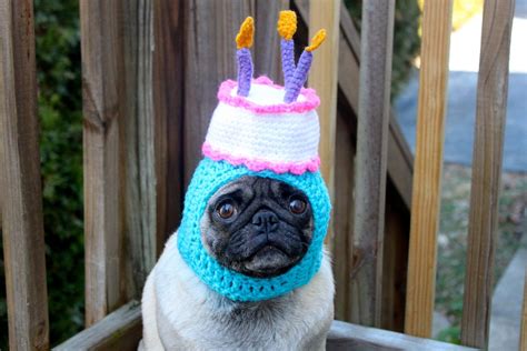 Happy Happy Birthday Cake Dog Hat Made To Order