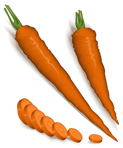 Orange Carrots Vector Clipart Image Free Stock Photo Public Domain