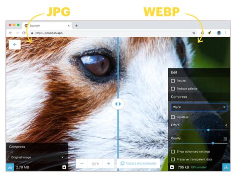 Why And How To Use Webp Images Today Bitsofcode