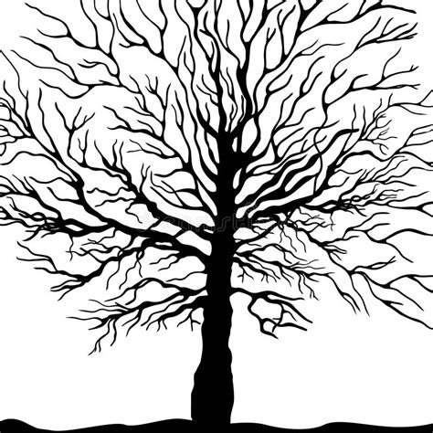 Black Tree Silhouettes On A White Background Vector Illustration Stock