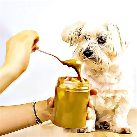 Best Peanut Butter For Dogs Top 7 Healthiest Picks