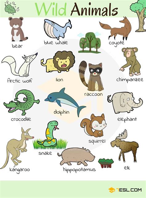 Wild Animal Vocabulary In English Eslbuzz