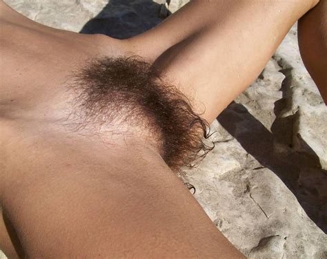 Hairy 0087 Porn Pic From Hairy Pussy Natural Bush
