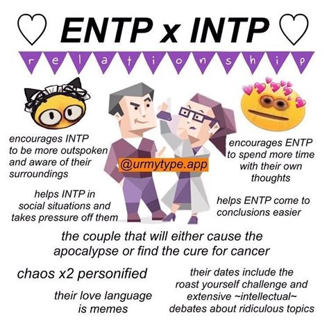Pin By Sarah G On Mbti Intp Relationships Entp Intp