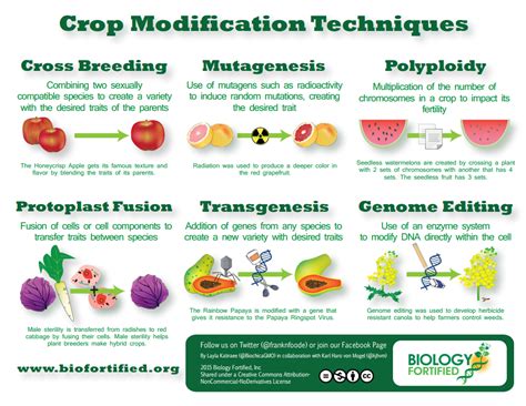 6 Different Processes Used To Genetically Modify Crops Bio