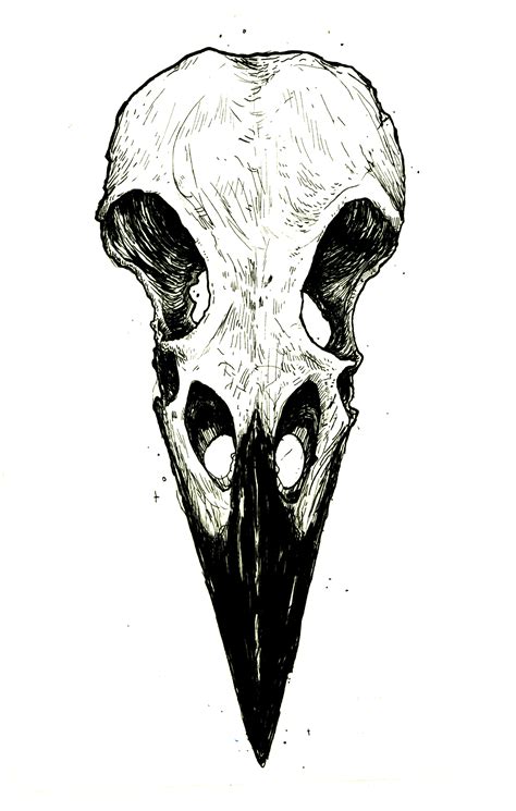 Image Result For Raven Skull Skull Tattoo Design Skull Drawing