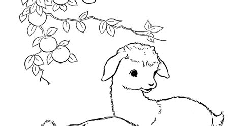 Download Free Farm Animal Coloring Pages high resolution