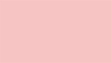 Baby Pink Solid Color Background 1000 Free Download Vector Image
