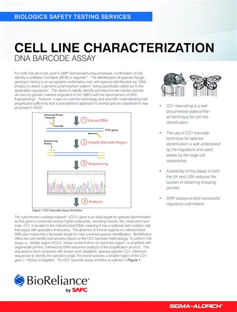 Pdf Cell Line Characterization Bioreliance€ · Cell Line