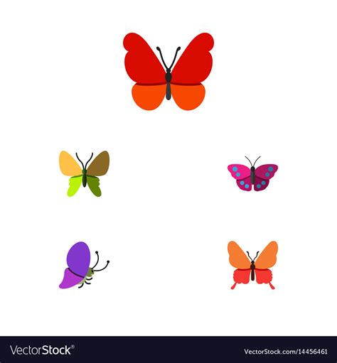Flat Butterfly Set Of Monarch Summer Insect Vector Image