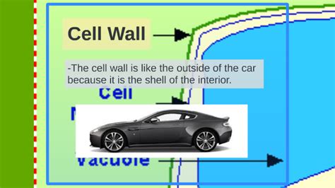 The animal cell analogy for golgi is the mail department in hospital as it packs everything to be sent away from the hospital. Plant Cell Analogy Project by Stanley Fairchild