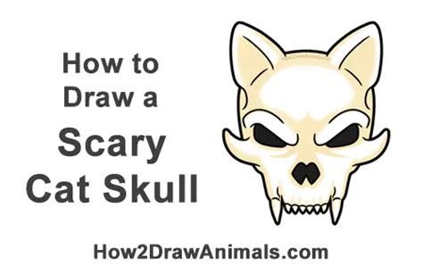 how to draw a cat skull halloween video and step by step pictures