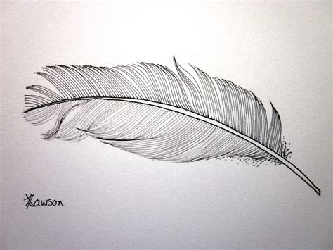 Feather Drawing Giveaway Feather Drawing Original Ink Drawing Ink