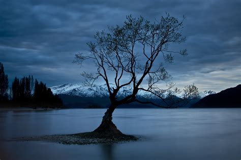 Alone Lake Wanaka New Zealand Click Here To Visit My Face Flickr