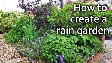 How To Build A Rain Garden Utilise Rainwater And Prevent Flooding