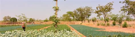 Drip Irrigation And Agroecological Farming In Burkina Faso Iheid