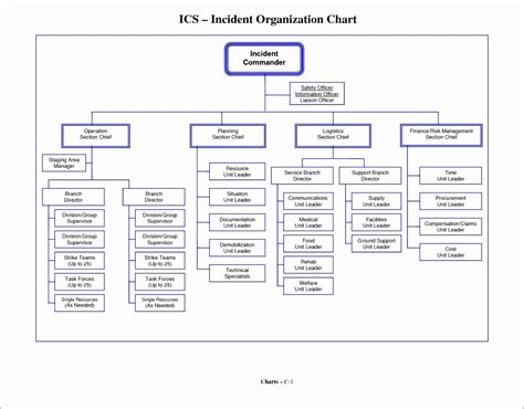 Organizational Chart Template Word Unique 8 Microsoft Excel