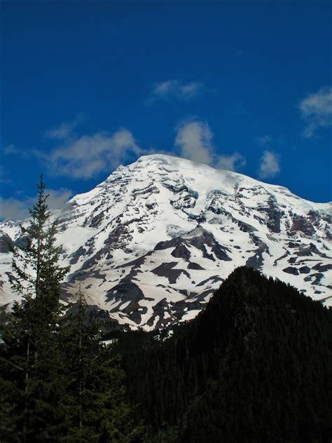 View From Longmire In Mt Rainier National Park 2 2 Travel Dads