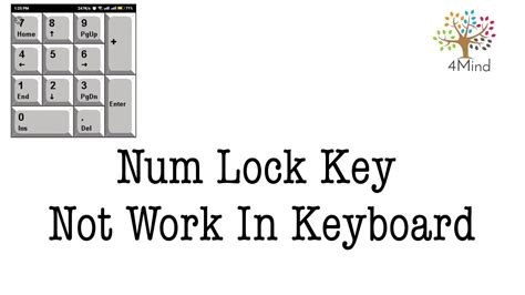 How To Fix Number Key Is Not Working Num Lock Keyboard Number Keys
